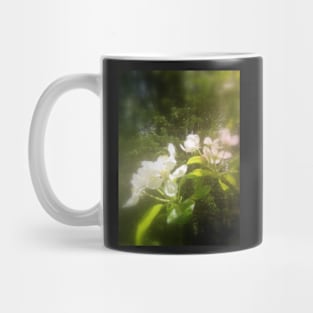 apple blossoms #2 Mug